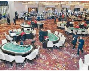 森林舞会电玩城2024最新版